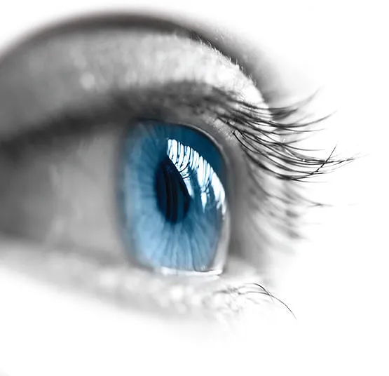 Study shows eye scans may provide clues to ageing, heart disease risk
