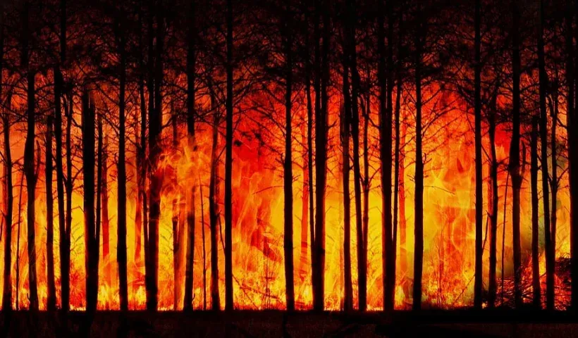 J&K: Massive fire breaks out in Rajwar forests in Handwara, firefighting ops underway