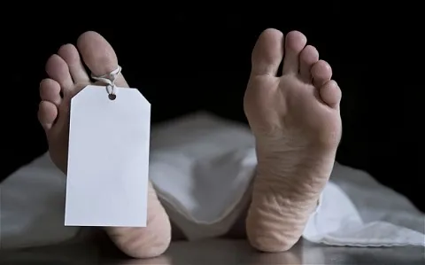 Unidentified Body Recovered in Srinagar's Parimpora