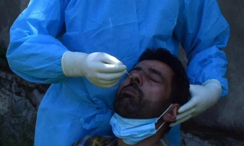 163 cases of newly emerging COVID-19 variant XFG detected in India: INSACOG