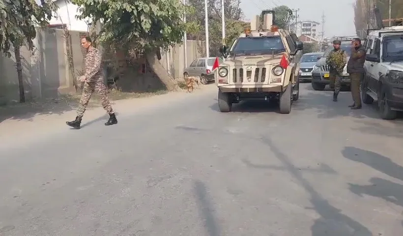 Search operation in J-K's Sopore enters second day