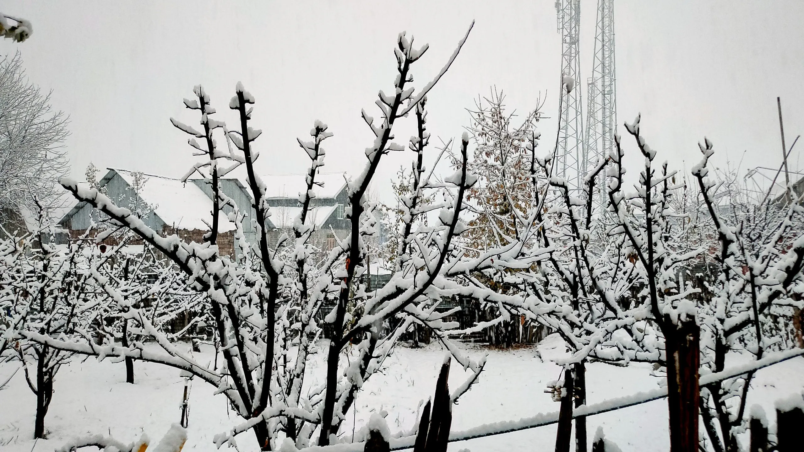 Fresh snowfall in higher reaches brings respite from cold Greater Kashmir