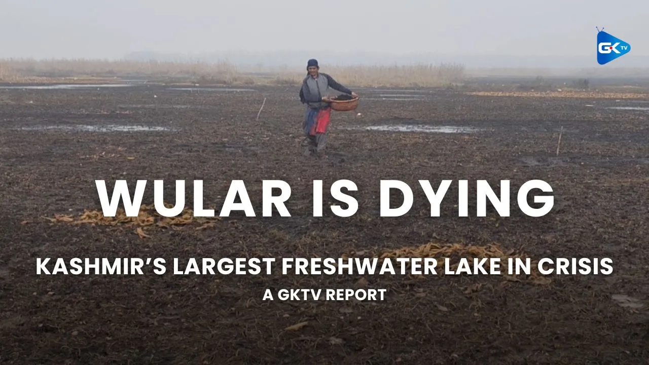 Wular, Kashmir's largest freshwater lake, a source of livelihood for ...