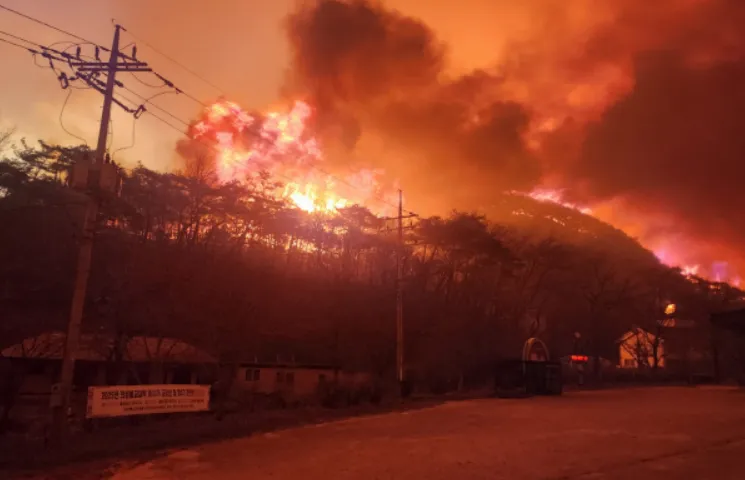 At least 16 dead, 19 injured as wildfires ravage South Korea's southern regions