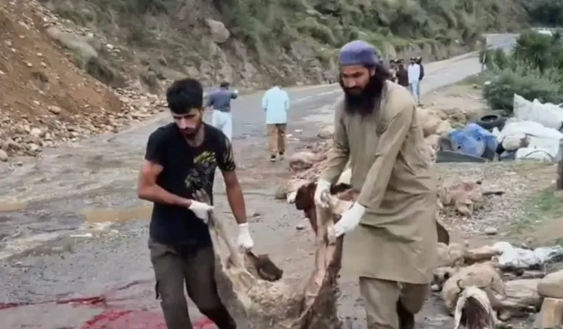 Shepherd, 60 sheep crushed under speedy truck in J&K's Doda