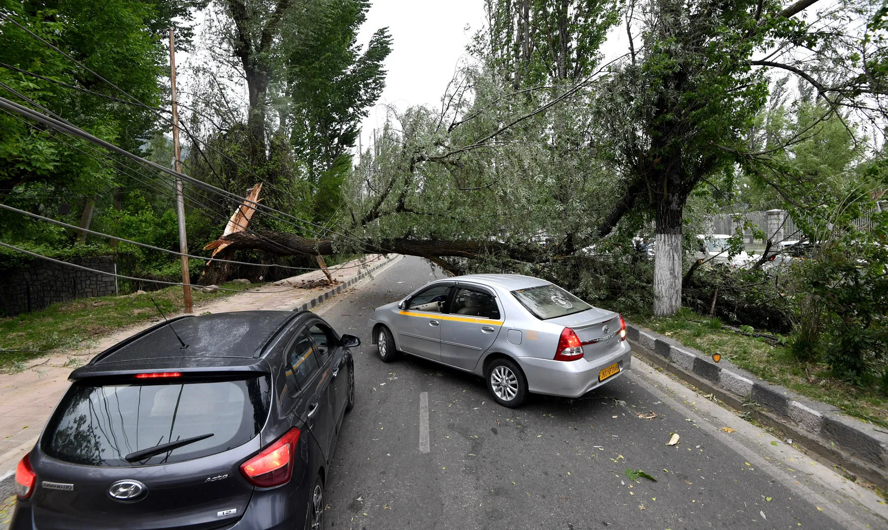 In Pictures: Gusty winds uproot tree, sink shikara on Dal lake