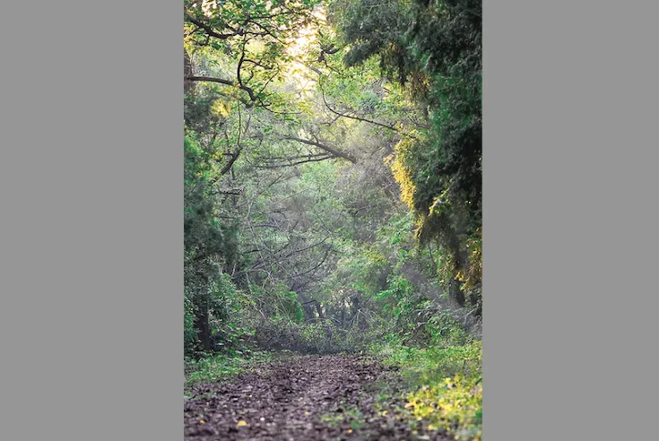 Greater Kashmir - Business - News Image