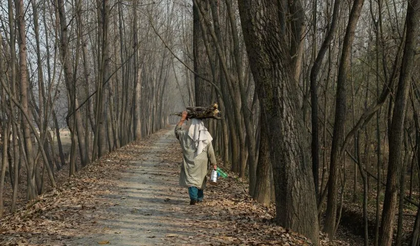 Absence of major snowfall triggers concern in J&K