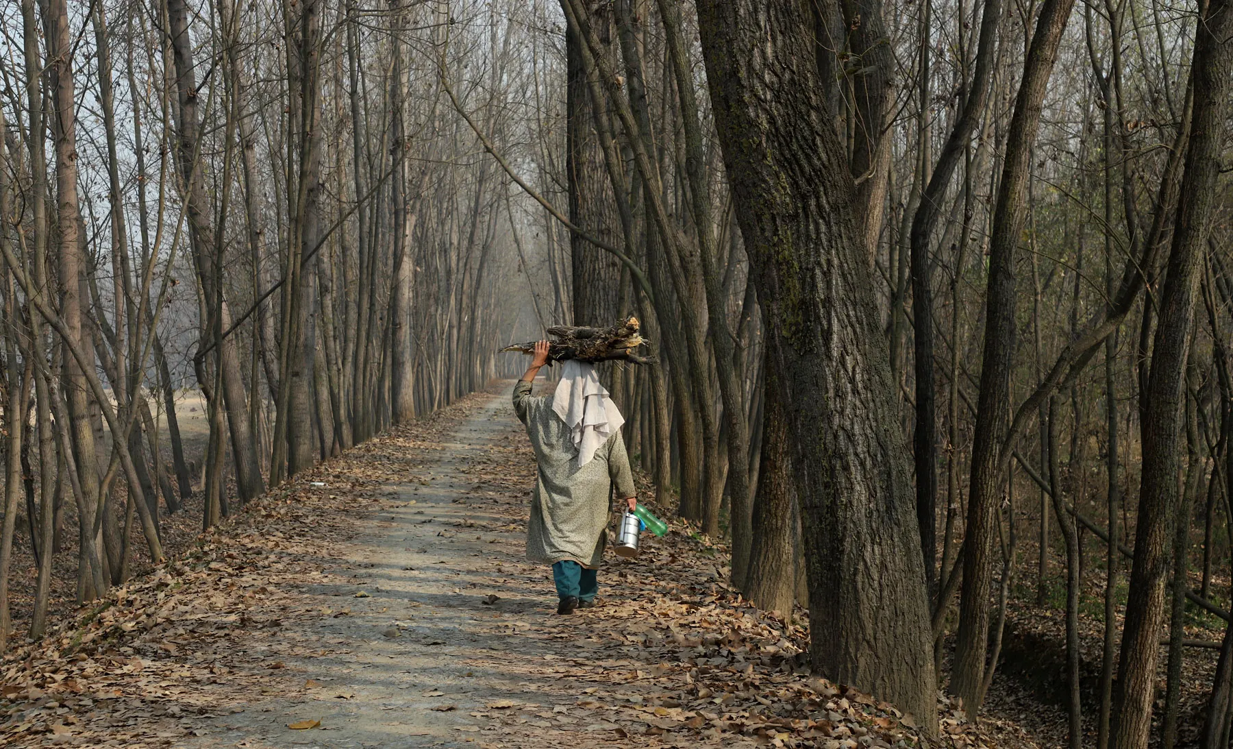 Absence of major snowfall triggers concern in J&K