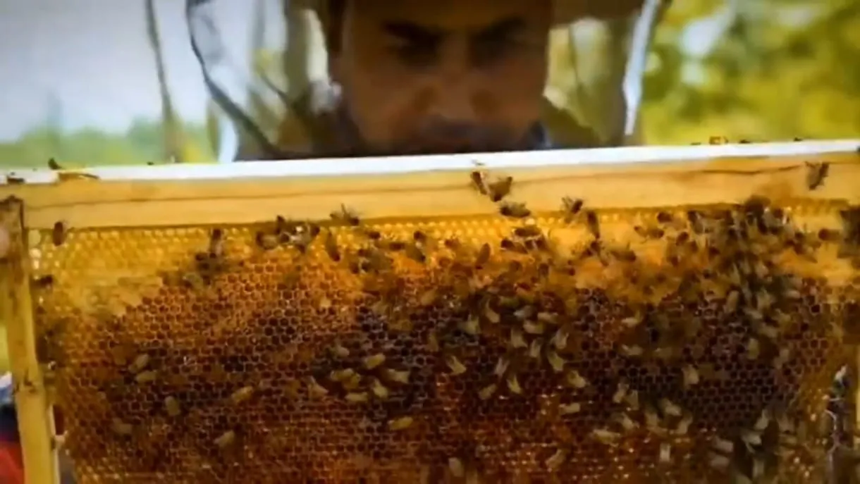 GI tagged Sulai honey from Ramban mentioned in PM’s ‘Mann Ki Baat’