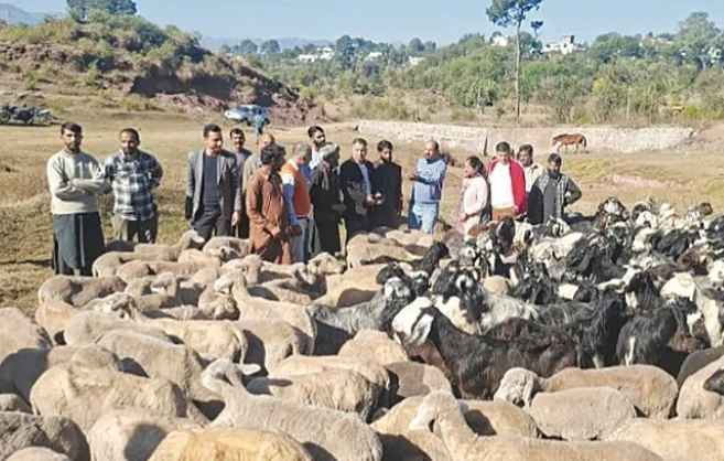 SKUAST-J’s mega animal clinical camp proves boon for tribal farmers in Rajouri