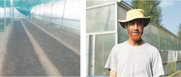 From fields to markets: Pulwama farmer’s success with exotic crops