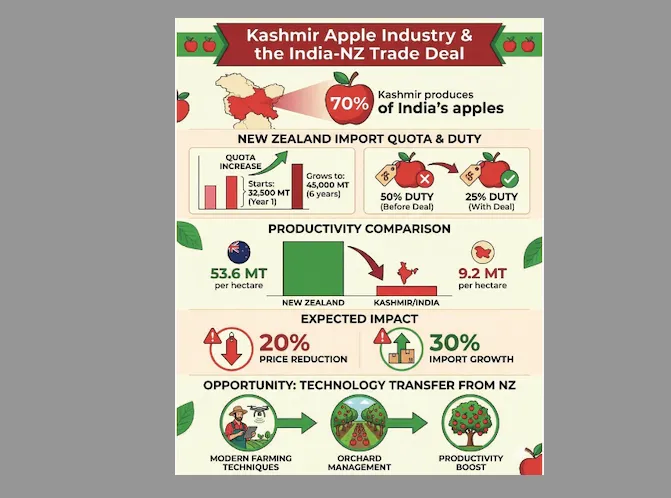 India-New Zealand FTA puts spotlight on Kashmir apples