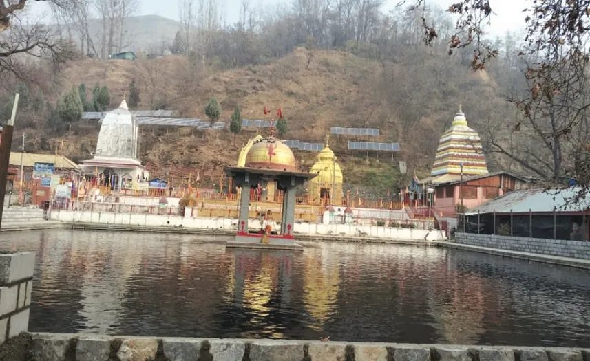 Low oxygen, pollution caused fish mortality at Martand Temple springs: Scientists