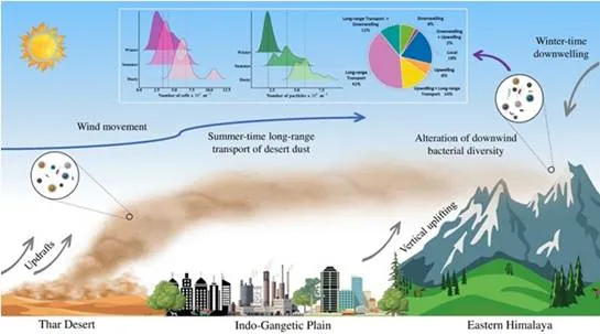 Dust storms from western India carry disease-causing microbes to Himalayan heights: study