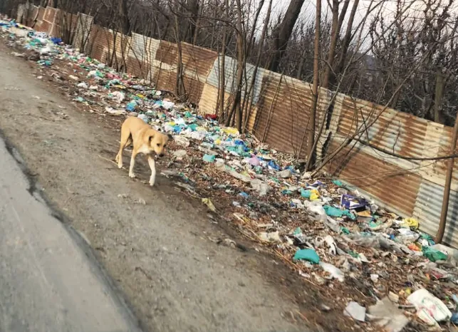 Lack of proper waste management leaves Sopore grappling with garbage issue