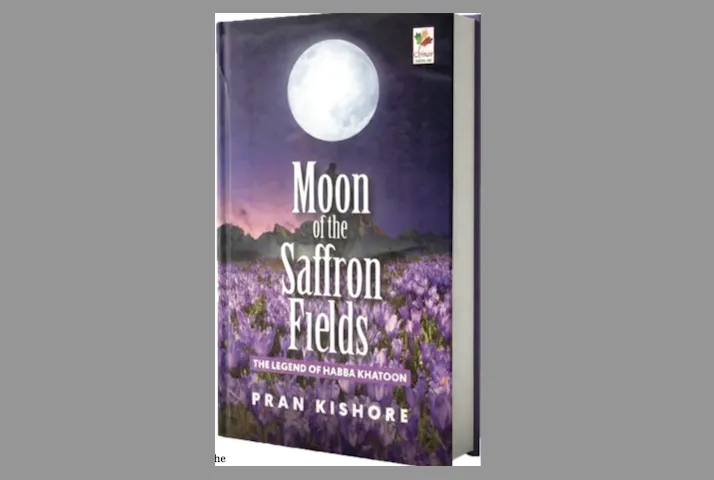 A Literary Journey into the Soul of Kashmir