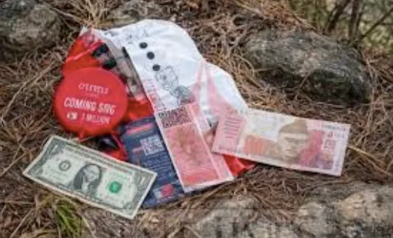 2 balloons with ‘US, Pak currency’ recovered in Akhnoor